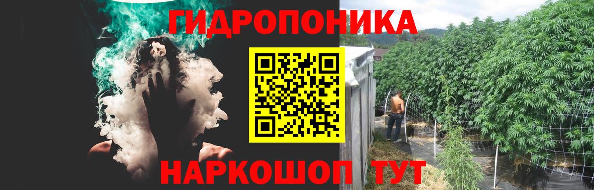 Шишки марихуана THC 21% Ставрополь